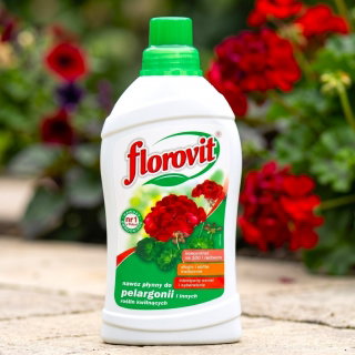 Nawóz do pelargonii - długie i obfite kwitnienie - Florovit - 1 litr