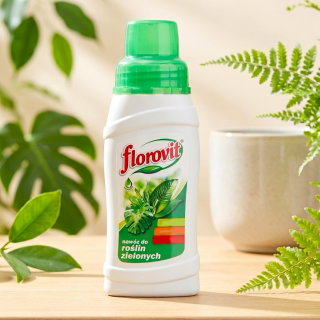 Nawóz do roślin zielonych ozdobnych z liści - Florovit - 250 ml