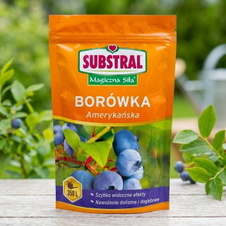 Nawóz interwencyjny do borówek "Magiczna Siła" - Substral - 350 g