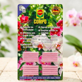 Pałeczki nawozowe do orchidei - długo działające! - Compo - 20 sztuk