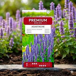 Agastache, Kłosowiec - 210 nasion
