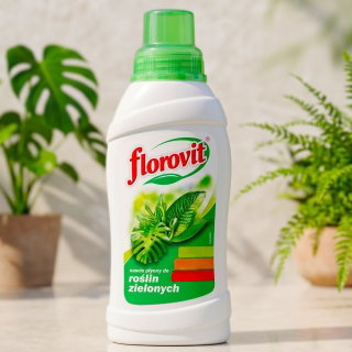 Nawóz do roślin zielonych ozdobnych z liści - Florovit - 500 ml