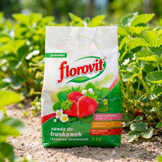 Nawóz do truskawek i poziomek - wysokie plony i smaczne owoce - Florovit - 1 kg