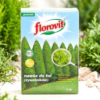 Nawóz do tui (żywotników) - intensywne wybarwienie igieł i szybki wzrost - Florovit - 1 kg