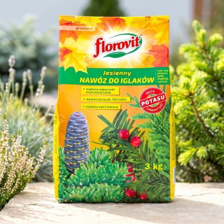 Nawóz jesienny do iglaków - Florovit - 3 kg