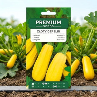 Kabaczek złoty cepelin - 16 nasion