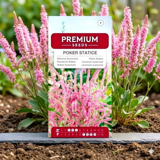 Zatrwian Suworowa - 1100 nasion