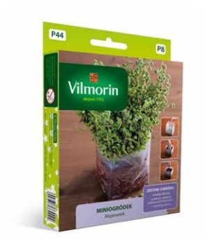Miniogródek - Majeranek - mini zestaw do uprawy w domu - 6500 nasion