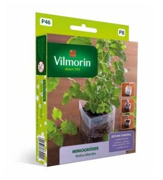 Miniogródek - Melisa lekarska - mini zestaw do uprawy w domu - 600 nasion