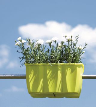 Skrzynka balkonowa Crown do montowania na balustradach - limonka - 40 cm