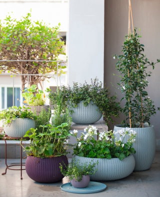 Doniczka niska Cozies - misa - śr. 54 cm - fioletowa