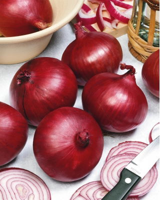 Cebula Karmen - duże opakowanie - 500 gram