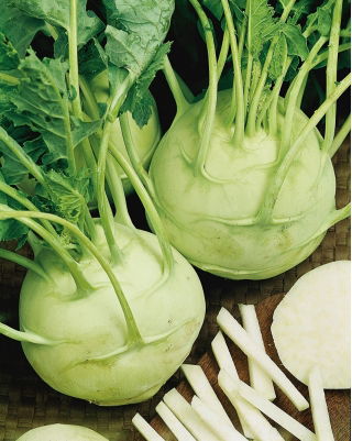 Kalarepa Gigant - duże opakowanie - 50 gram