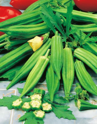 Ketmia jadalna - Okra - 30 nasion