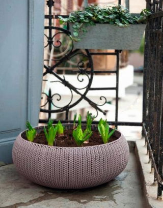 Doniczka niska Cozies - misa - śr. 54 cm - fioletowa