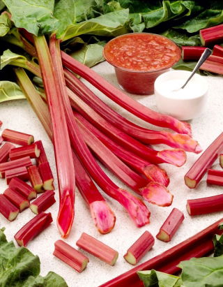 Rabarbar Raspberry Red - malinowy - sadzonka - duża paczka! - 10 szt.