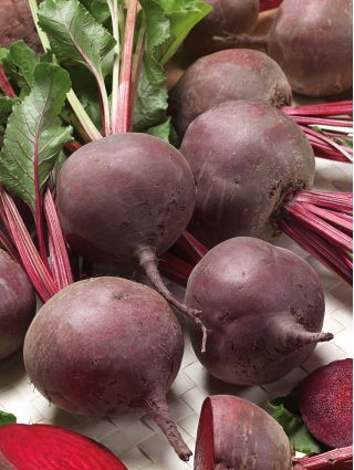 Burak ćwikłowy Bona - 100 gram