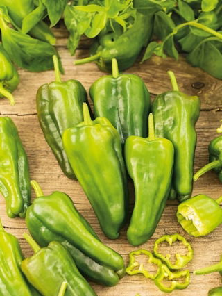Papryka Padron - plenna, idealna do smażenia