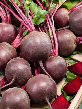 Burak ćwikłowy Czerwona Kula - duże opakowanie - 500 gram