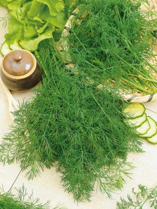 Koper ogrodowy Hanak - wczesny - 100 gram