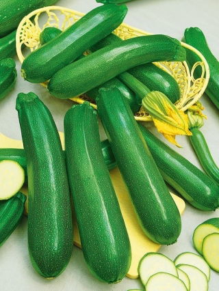 Cukinia Diamant F1 - Wyjątkowa wydajność i odporność, bardzo dobry smak - 100 gram