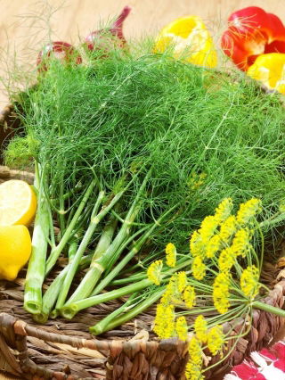 Koper ogrodowy Sprinter - 100 gram