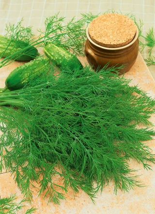 Koper ogrodowy Ambrozja - duże opakowanie - 500 gram