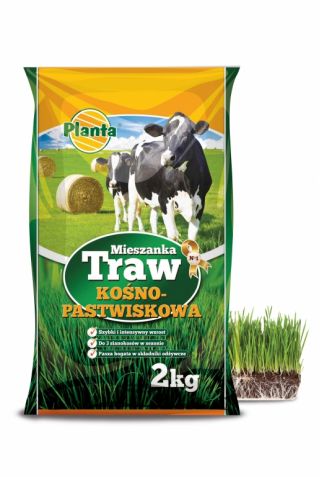 Mieszanka traw kośno-pastwiskowych - łąka bez motylkowych - B2 - 2 kg