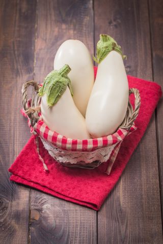 Oberżyna, Bakłażan White Egg - 125 nasion