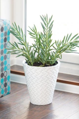 Doniczka okrągła z wkładem Makata - 40 cm - biała