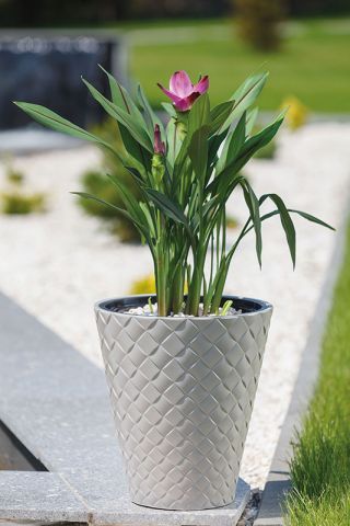 Doniczka okrągła z wkładem Makata - 30 cm - jasnoszara