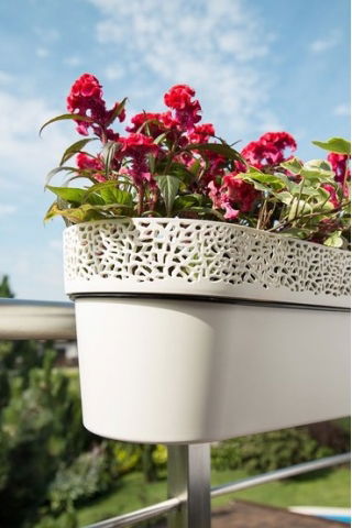 Skrzynka balkonowa z koronkowym wykończeniem, ażurowa Rosa - 50 cm - antracyt