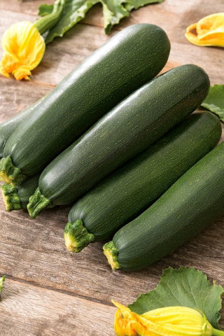 BIO Cukinia - Certyfikowane nasiona ekologiczne