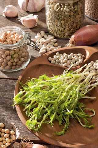 Microgreens - Groch Boogie - młode listki o unikalnym smaku