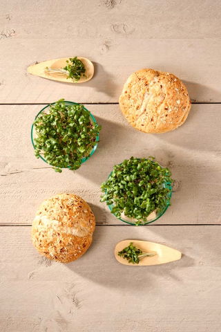 Microgreens - Brukiew - młode listki o unikalnym smaku - 1 kg