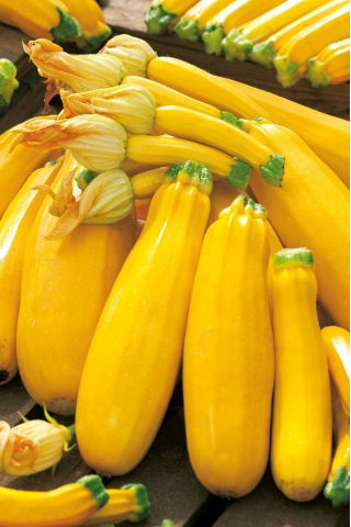 Cukinia Goldena - 100 gram