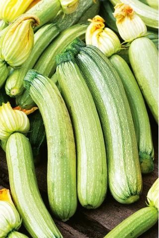 Cukinia Bianca di Trieste - szybko rosnąca - 100 gram