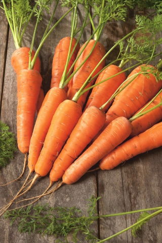 Marchew Nantejska Polana - średnio wczesna - 50 gram