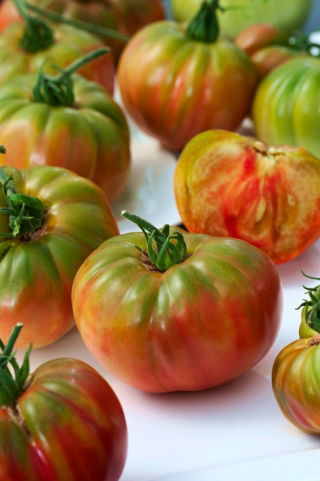 BIO Pomidor Pantano Romanesco - gruntowy i tunelowy, bardzo duży plon - Certyfikowane nasiona ekologiczne