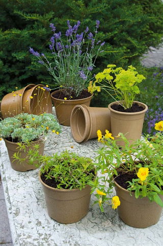 Dekoracyjne doniczki BIO - ekologiczne i wytrzymałe - 20 cm średnicy x 14 cm wysokości - 3 szt.