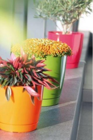 Okrągła doniczka z podstawką Coubi - 18 cm - Oliwka - Prosperplast