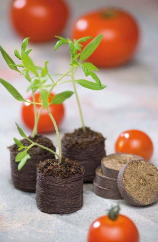 Pęczniejące krążki torfowe 27 mm - 5004 szt.