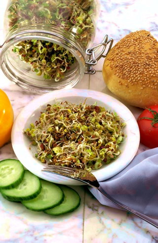 Nasiona na kiełki - Mix Energia