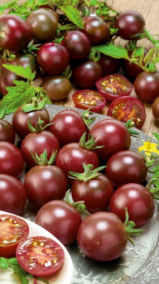 Pomidor wysoki - Black cherry - 60 nasion