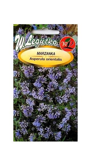 Marzanka - 140 nasion