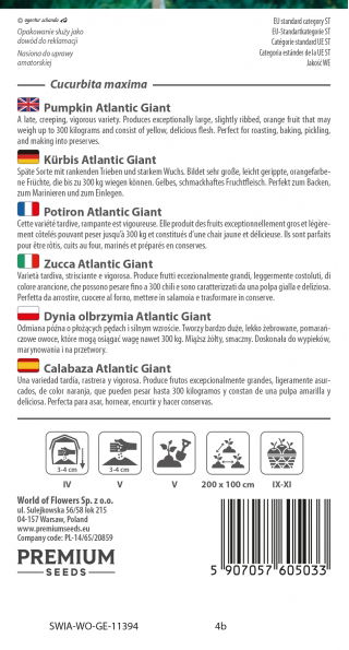 Dynia olbrzymia - Atlantic Giant - gigantyczne owoce, nawet 300 kg - 12 nasiona