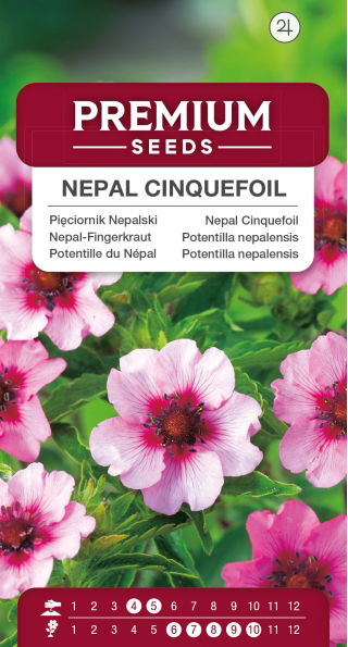 Pięciornik Nepalski - 600 nasion