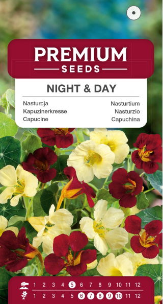 Nasturcja niska Night & Day - 16 nasion
