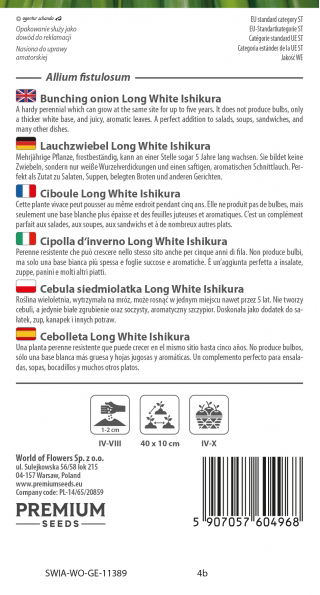 Cebula siedmiolatka - zielona - 675 nasion