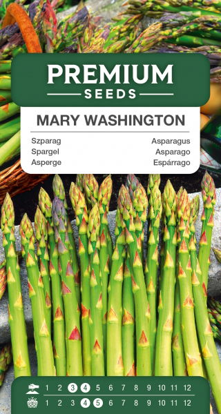 Szparag - Mary Washington